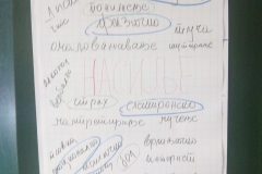IMG-ad4948e0e050583916e3ecc721970221-V